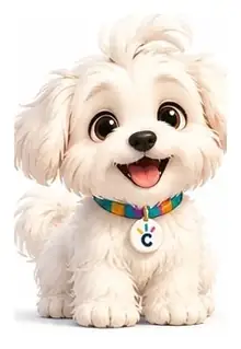 Popi, pequeño bichón maltés blanco y acompañante de Crearte Emociones